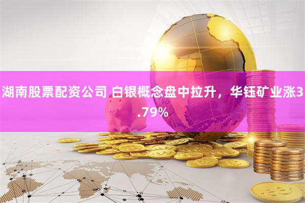 湖南股票配资公司 白银概念盘中拉升，华钰矿业涨3.79%