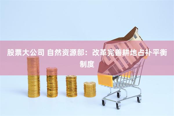 股票大公司 自然资源部：改革完善耕地占补平衡制度