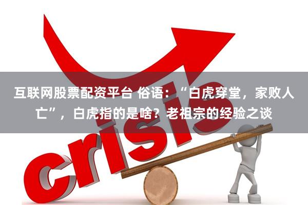 互联网股票配资平台 俗语：“白虎穿堂，家败人亡”，白虎指的是啥？老祖宗的经验之谈