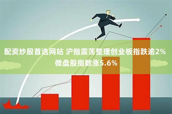 配资炒股首选网站 沪指震荡整理创业板指跌逾2% 微盘股指数涨5.6%