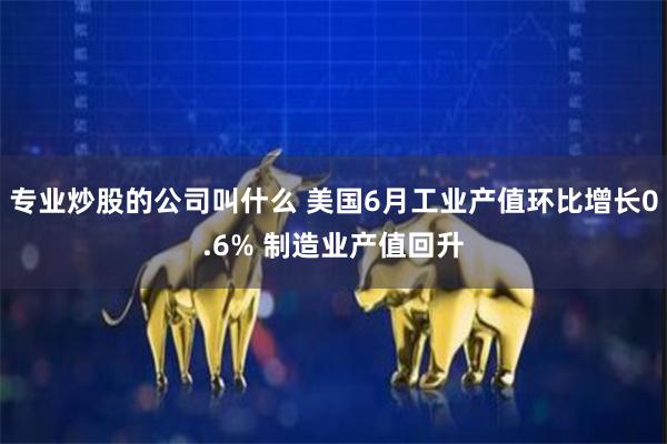 专业炒股的公司叫什么 美国6月工业产值环比增长0.6% 制造业产值回升