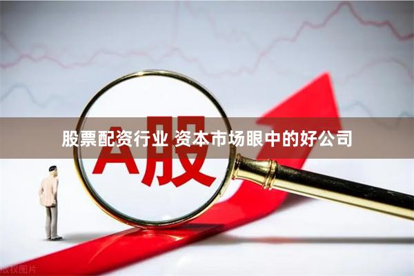 股票配资行业 资本市场眼中的好公司