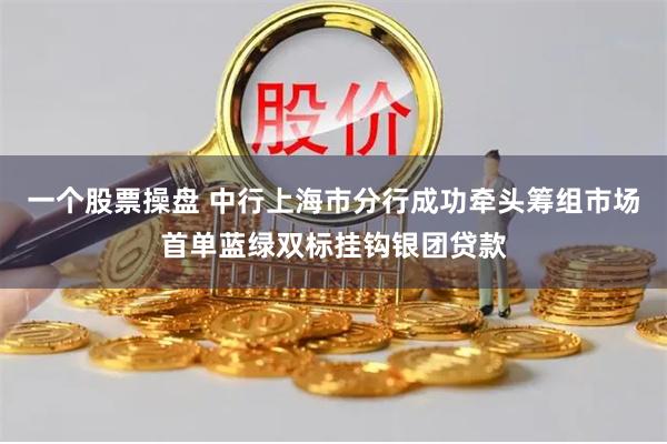 一个股票操盘 中行上海市分行成功牵头筹组市场首单蓝绿双标挂钩银团贷款