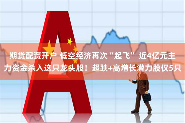 期货配资开户 低空经济再次“起飞” 近4亿元主力资金杀入这只龙头股！超跌+高增长潜力股仅5只