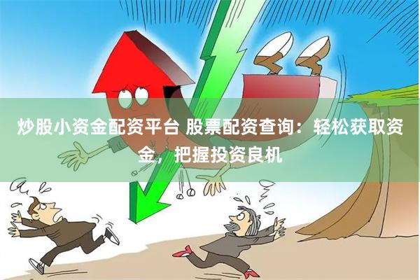 炒股小资金配资平台 股票配资查询：轻松获取资金，把握投资良机