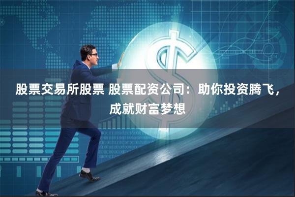 股票交易所股票 股票配资公司：助你投资腾飞，成就财富梦想