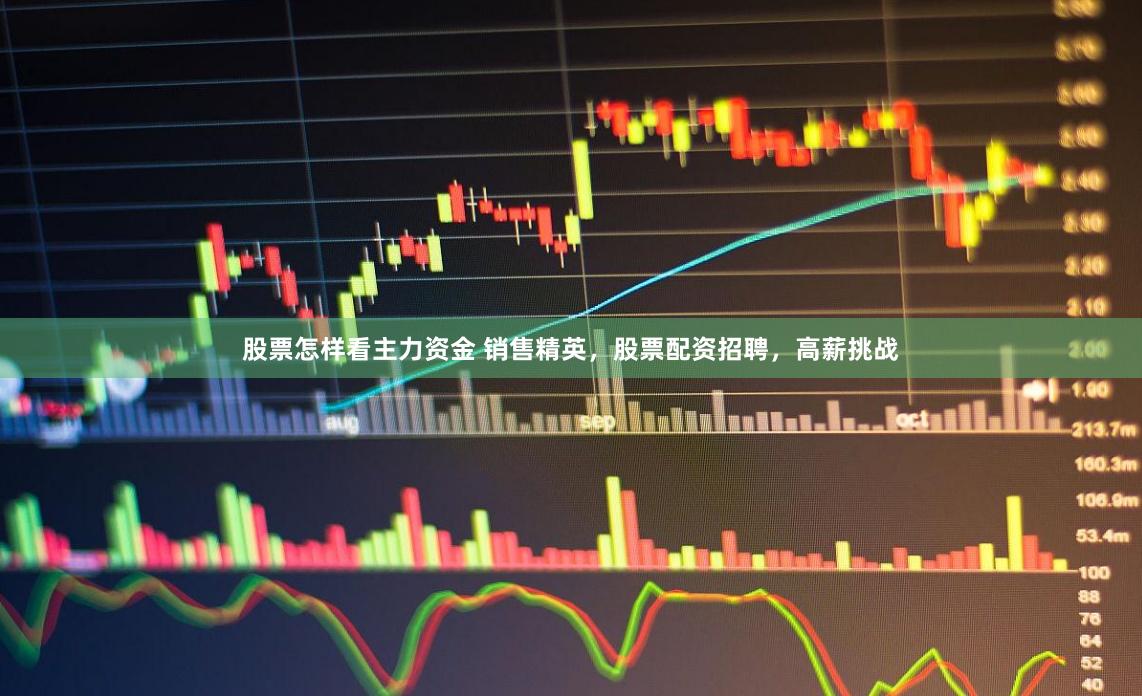 股票怎样看主力资金 销售精英，股票配资招聘，高薪挑战