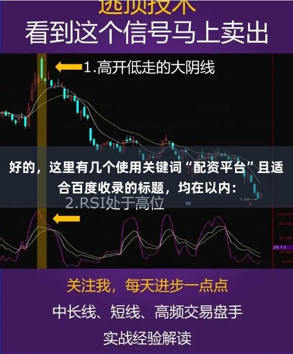 好的，这里有几个使用关键词“配资平台”且适合百度收录的标题，均在以内：